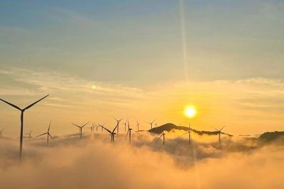 Nhiều nhà đầu tư điện gió rơi vào cảnh 'tiến thoái lưỡng nan'