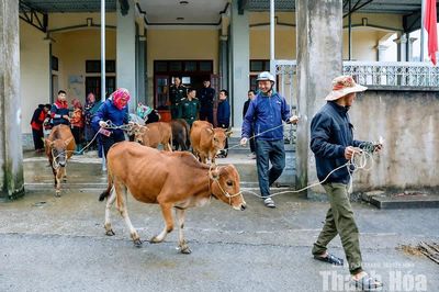 Tìm giải pháp giảm nghèo bền vững ở Trung Lý