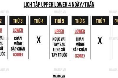 Lịch tập Upper Lower 4 buổi giúp tăng cơ cân đối cho người bận rộn
