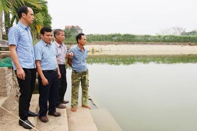 Bắc Ninh tăng cường ứng dụng kỹ thuật trong nuôi thủy sản