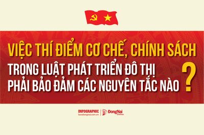 [Infographic] Việc thí điểm cơ chế, chính sách trong Luật Phát triển đô thị phải bảo đảm các nguyên tắc nào?
