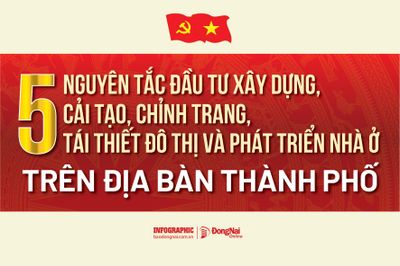 [Infographic] 5 nguyên tắc đầu tư xây dựng, cải tạo, chỉnh trang, tái thiết đô thị và phát triển nhà ở