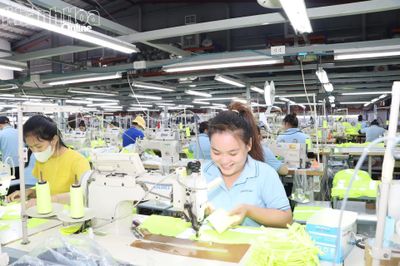 Kinh tế chuyển dịch tích cực