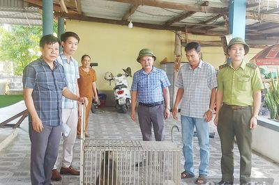 Bàn giao cá thể khỉ vàng cho Vườn Quốc gia Phong Nha-Kẻ Bàng