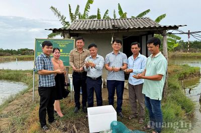 Hướng đi mới cho nghề nuôi tôm sú