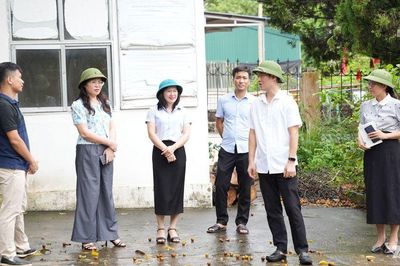 Khảo sát công tác quản lý đất đai tại các phường Đức Xuân, Phú Lương
