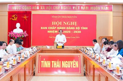 Tỉnh ủy Thái Nguyên: Thảo luận, cho ý kiến vào nhiều nội dung
