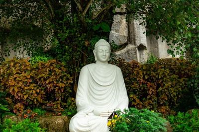 Hai người cha thời Đức Phật
