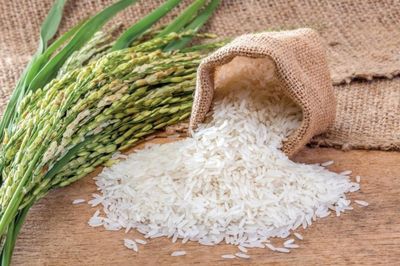 Ngày 27/8: Giá lúa gạo tại Đồng bằng sông Cửu Long biến động