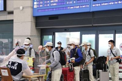 Ưu tiên lao động có trình độ, tay nghề đi làm việc ở nước ngoài