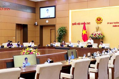 Dự kiến giảm 65% số điều khi hợp nhất hai luật