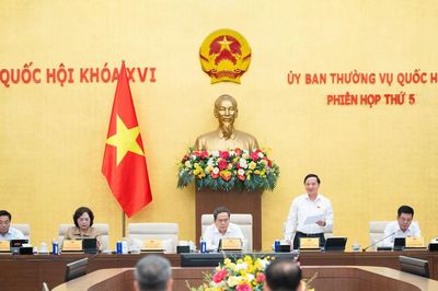 Lấy trẻ em làm trung tâm, chỉ nhận nuôi khi thực sự vì lợi ích tốt nhất của trẻ