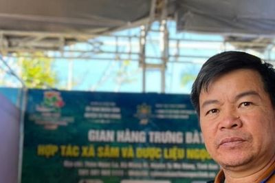 Trị nạn sâm Ngọc Linh giả: Lấy sở hữu trí tuệ làm 'hộ chiếu' cho HTX