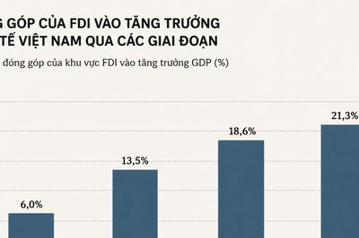 FDI và nội lực, bài toán tăng trưởng hai con số của Việt Nam
