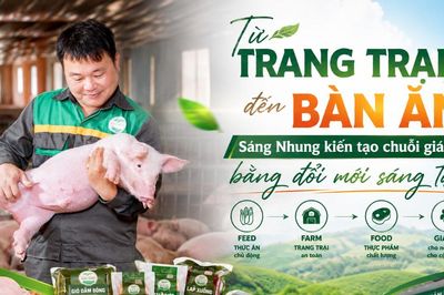Từ trang trại đến bàn ăn: HTX Sáng Nhung kiến tạo chuỗi giá trị bằng đổi mới sáng tạo