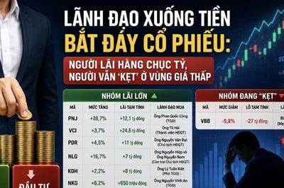Lãnh đạo bắt đáy cổ phiếu: Người lãi hàng chục tỷ, người vẫn 'kẹt' ở vùng giá thấp
