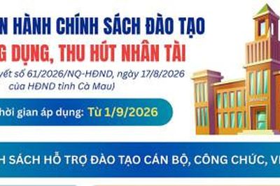 Cà Mau ban hành chính sách đào tạo và trọng dụng, thu hút nhân tài