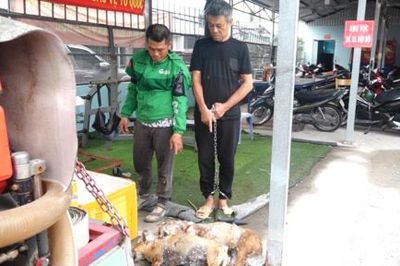 Công an TPHCM: Bắt 'nóng' đối tượng chỉ trong 1 đêm trộm 5 con chó của người dân