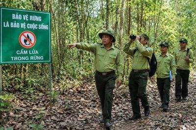 Chấn chỉnh công tác quản lý đất đai tại Ban Quản lý rừng phòng hộ Sông Móng - Ka Pét