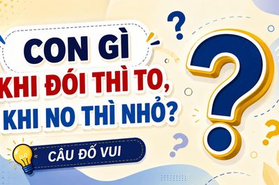 Con gì khi đói thì to, khi no thì nhỏ?