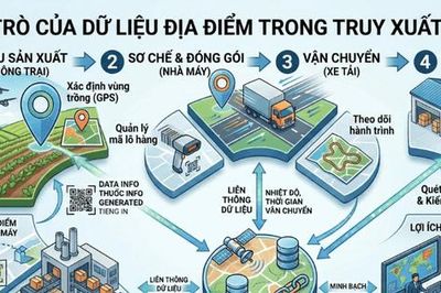 Dữ liệu địa điểm góp phần nâng tầm chuỗi giá trị cung ứng