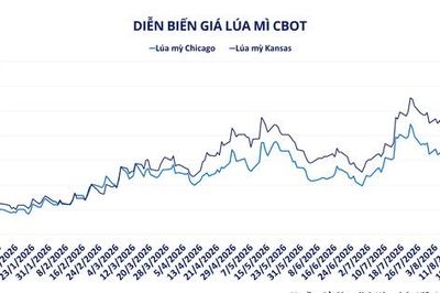 MXV-Index lên 2.900 điểm, lúa mì tăng 43% sau một năm