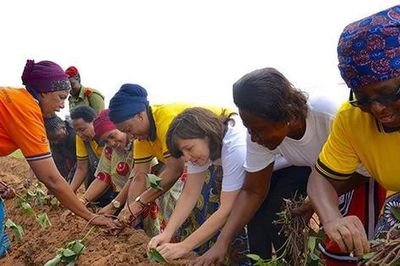Sức khỏe đất và bài toán an ninh lương thực