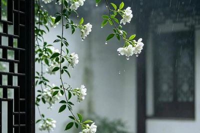 Số cuối ngày sinh Âm lịch của người trí tuệ, bản lĩnh, càng va vấp càng dễ bật lên