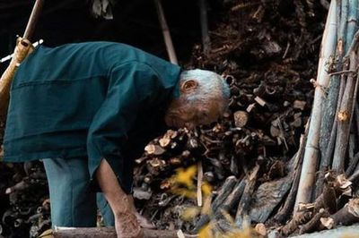 Tuổi già được con trai đón lên thành phố báo hiếu, chưa đầy 2 tháng cụ ông chua xót trở về quê
