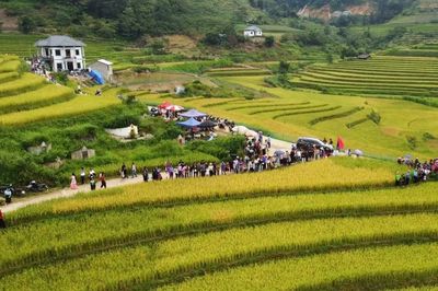 Vì một miền quê đáng sống: Sín Chéng mùa vàng ngân vang tiếng khèn
