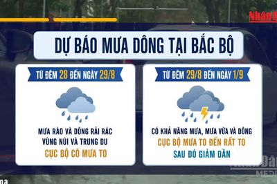 [Video] Thời tiết dịp nghỉ lễ Quốc khánh 2/9, nhiều khu vực có mưa to