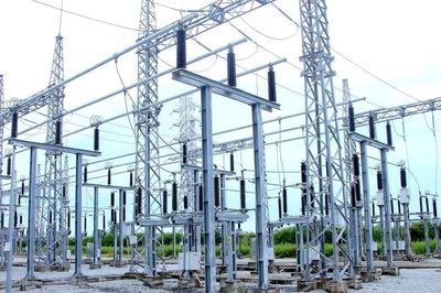 Khởi công cụm dự án điện gió lớn tại vùng ven biển Cà Mau