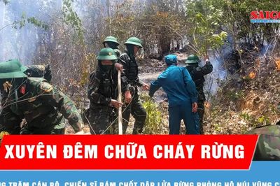 Gia Lai: Cháy rừng phòng hộ, giải cứu kịp thời 2 người dân
