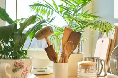 5 thứ trong nhà dễ gây bệnh bỏ ngay đừng tiếc