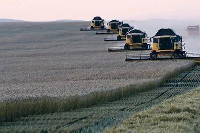 Giá lúa mì lên mức cao nhất trong ba năm khi căng thẳng Nga-Ukraine leo thang