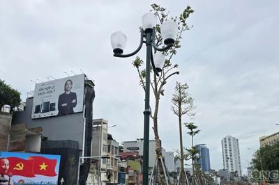 Diện mạo tuyến đường 7.800 tỷ đồng trước giờ mở cửa cho xe chạy