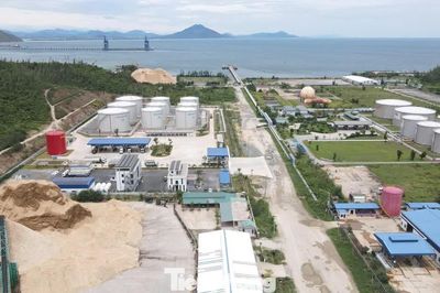 Thông tin mới vụ bãi gỗ dăm cạnh kho xăng dầu, khí hóa lỏng ở Hà Tĩnh