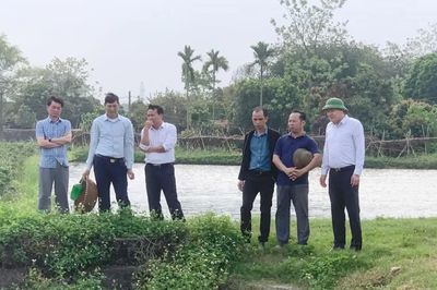 Nông dân Bắc Ninh đổi cách nuôi cá, giảm công sức nhờ công nghệ 4.0