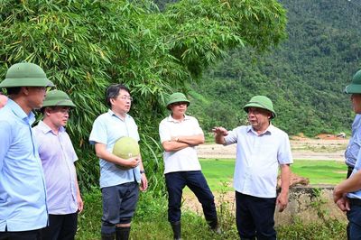 Phó Chủ tịch UBND tỉnh Nguyễn Văn Đệ kiểm tra, chỉ đạo khắc phục điểm sạt lở tại xã Tri Lễ