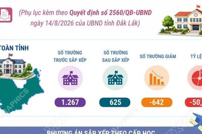 Phương án tổng thể sắp xếp các cơ sở giáo dục công lập tại tỉnh Đắk Lắk