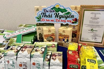 Thái Nguyên quảng bá 'điểm đến xanh' với mục tiêu đón 1 triệu khách quốc tế