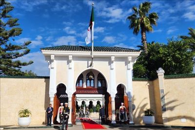 Algeria: Tuyên bố quốc tang 3 ngày sau các vụ cháy rừng nghiêm trọng
