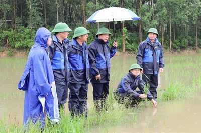 Bắc Ninh khẩn trương khôi phục sản xuất sau mưa lũ