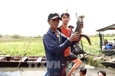 Đề xuất thí điểm chuỗi giá trị thủy sản - sinh kế - du lịch tại Đồng Tháp
