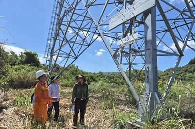 PTC3 triển khai đồng bộ giải pháp bảo đảm an toàn lưới điện truyền tải dịp Lễ Quốc khánh 2/9