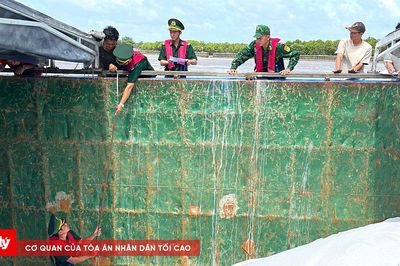 Phát hiện hơn 405 tấn phân Urê không rõ nguồn gốc