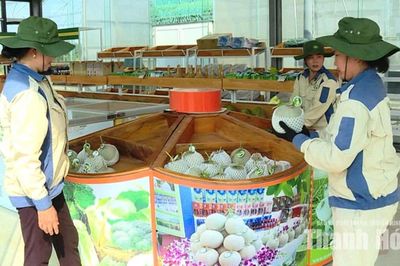 Nhiều sản phẩm OCOP “mất sao”