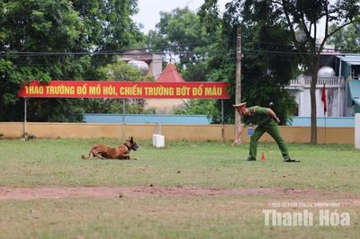 Cảnh sát cơ động Thanh Hóa đoạt 3 giải tại hội thi cán bộ huấn luyện, chó nghiệp vụ giỏi