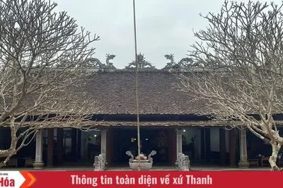 Những “bông hoa” xứ Thanh được Bác Hồ khen tặng