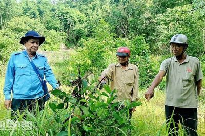 Đội K93 nâng cao hiệu quả tìm kiếm hài cốt liệt sĩ từ khảo sát thực địa